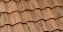 Weathered Terracotta